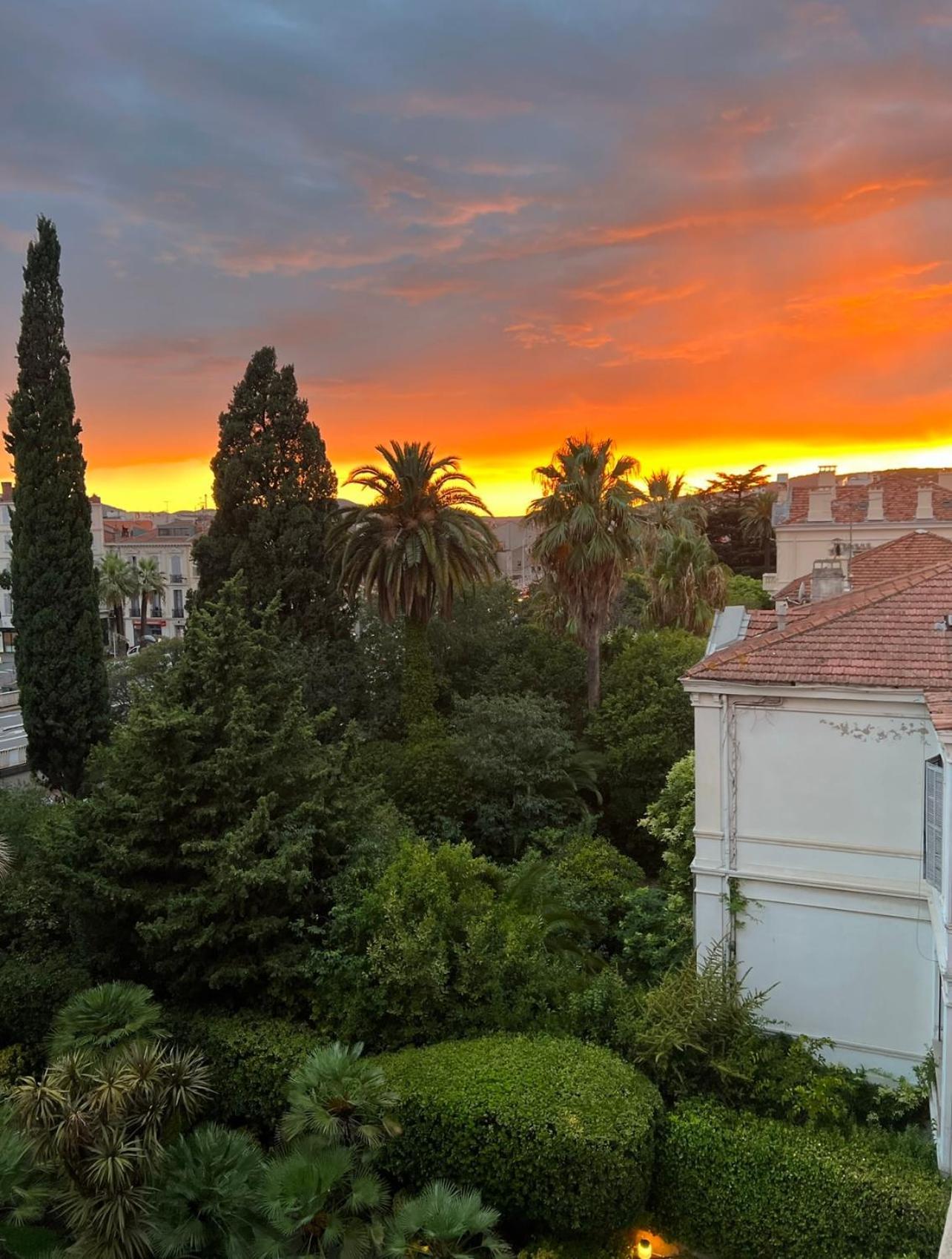 Appartement Cannes Croisette Eksteriør billede